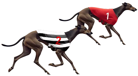 Racing coverage